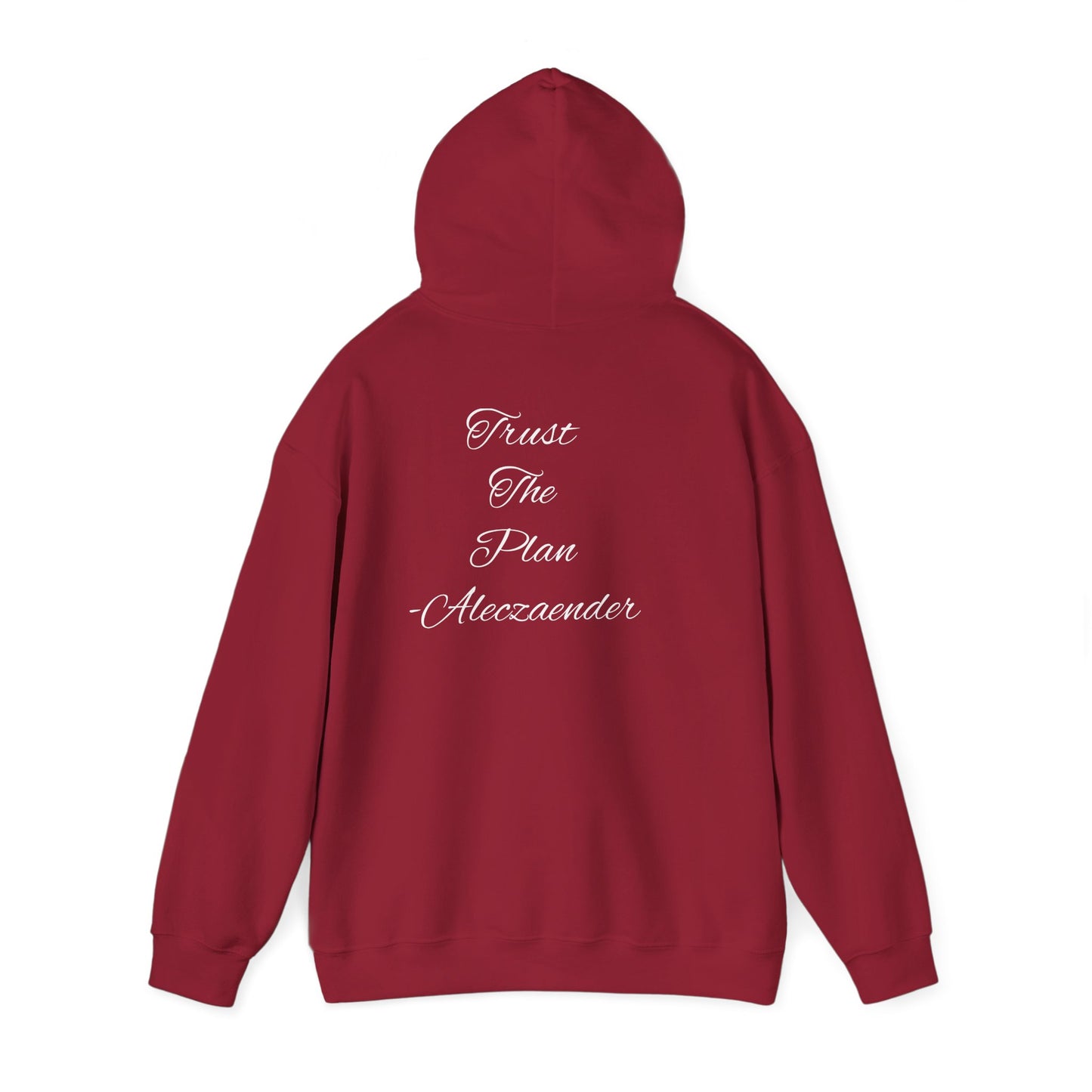 Aleczaender Hoodie
