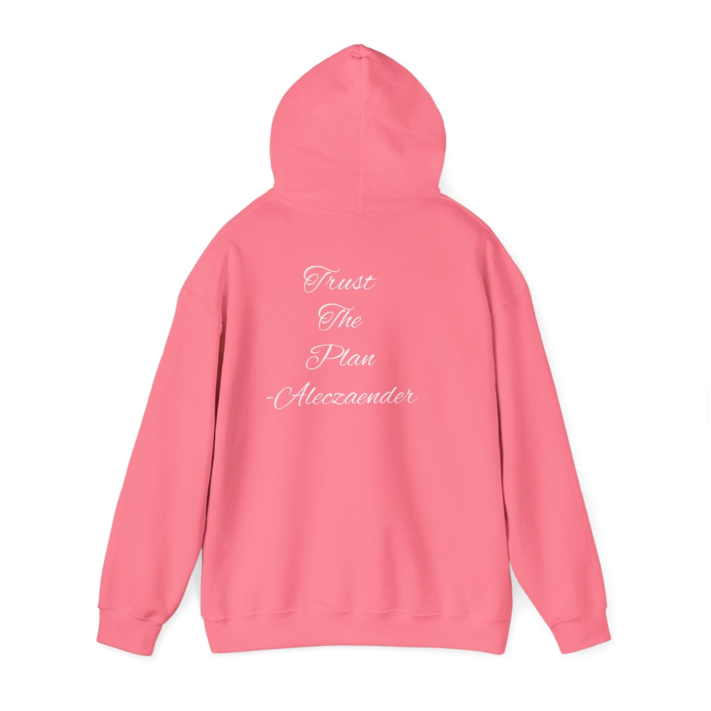 Aleczaender Hoodie