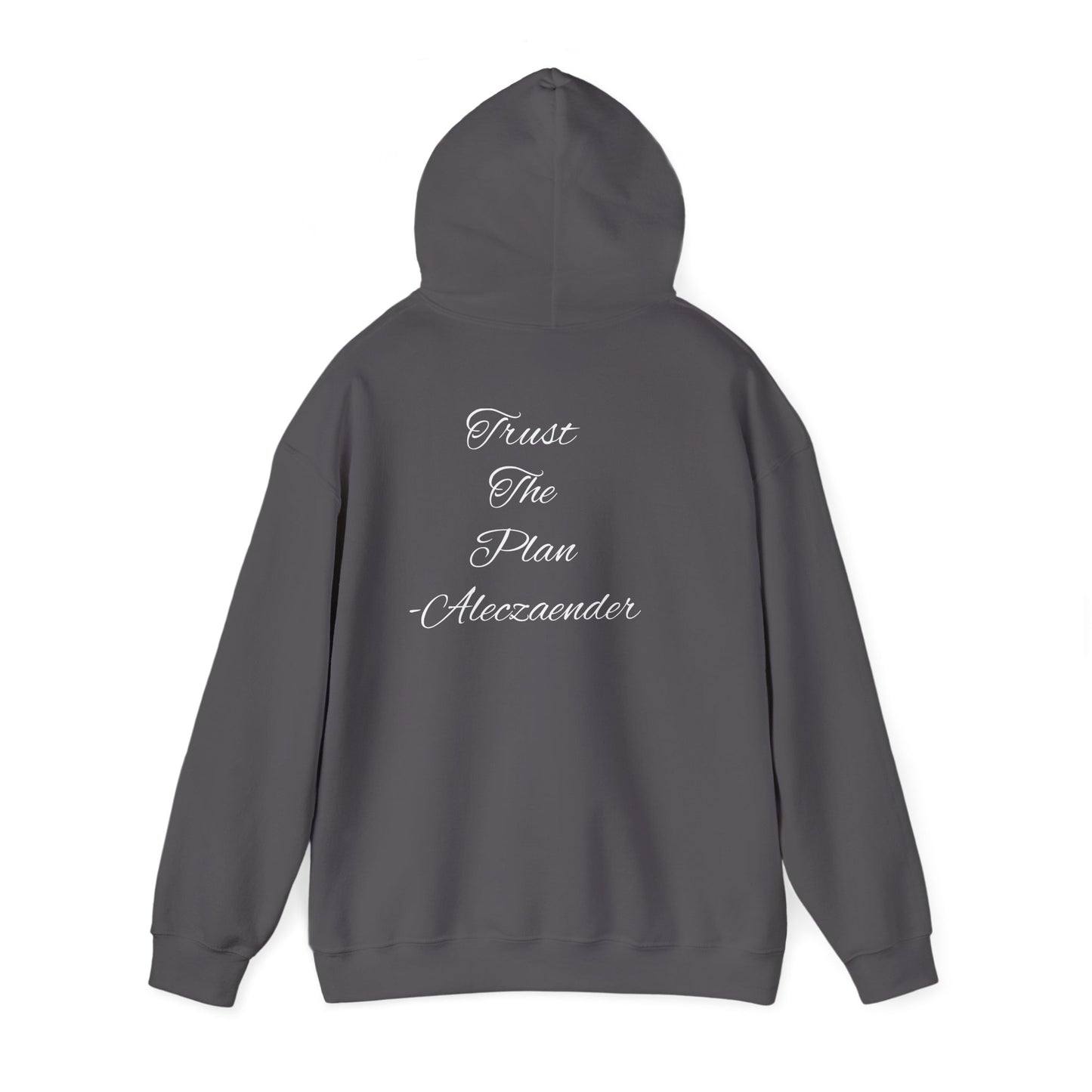 Aleczaender Hoodie