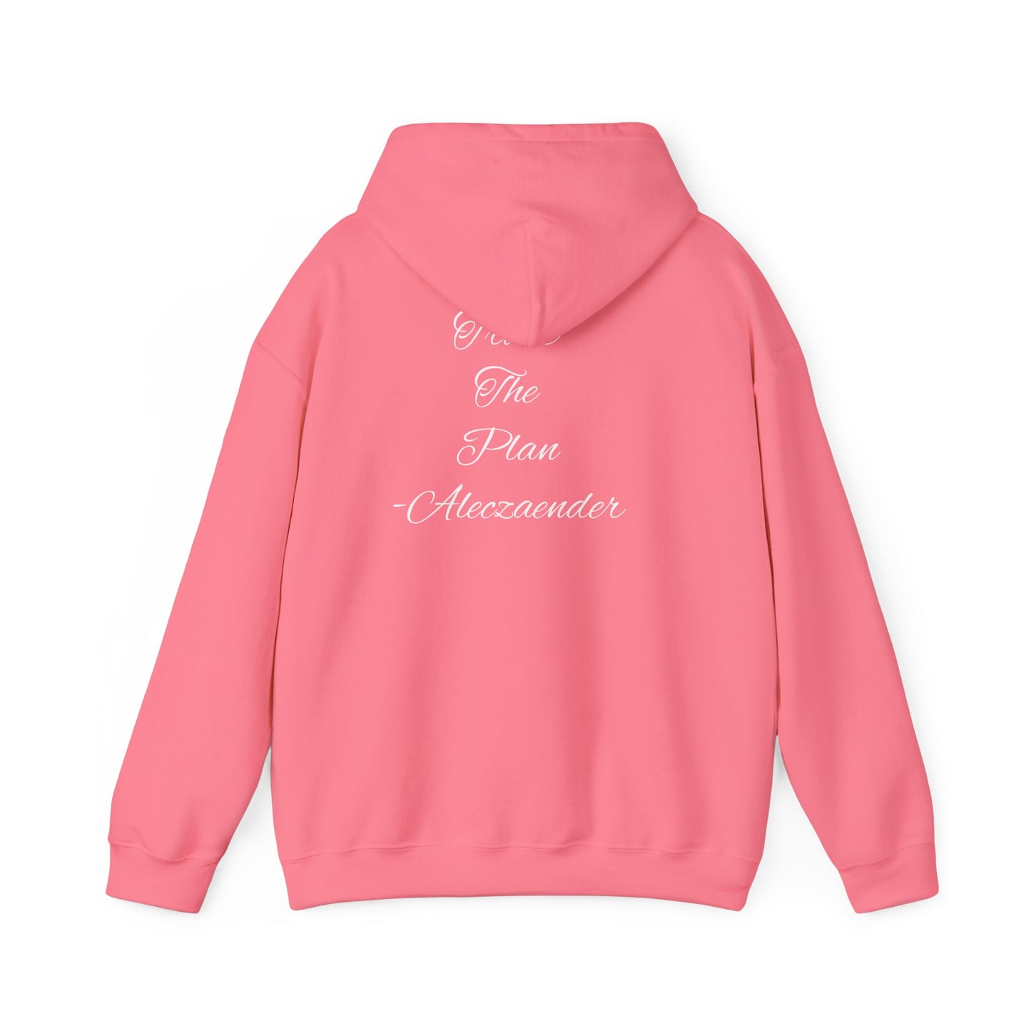 Aleczaender Hoodie