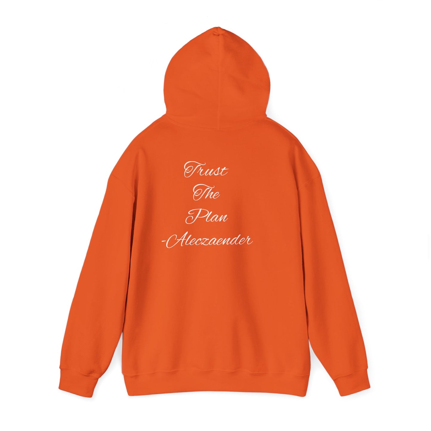 Aleczaender Hoodie