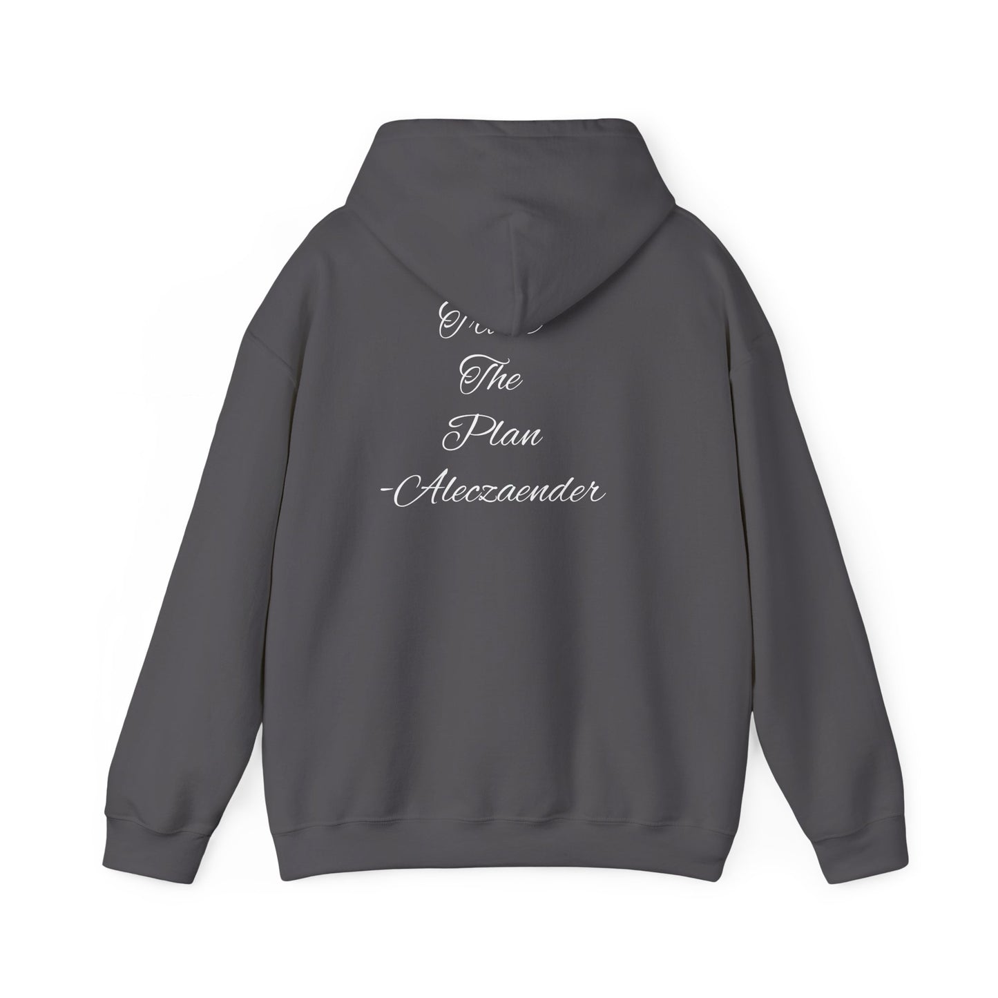Aleczaender Hoodie