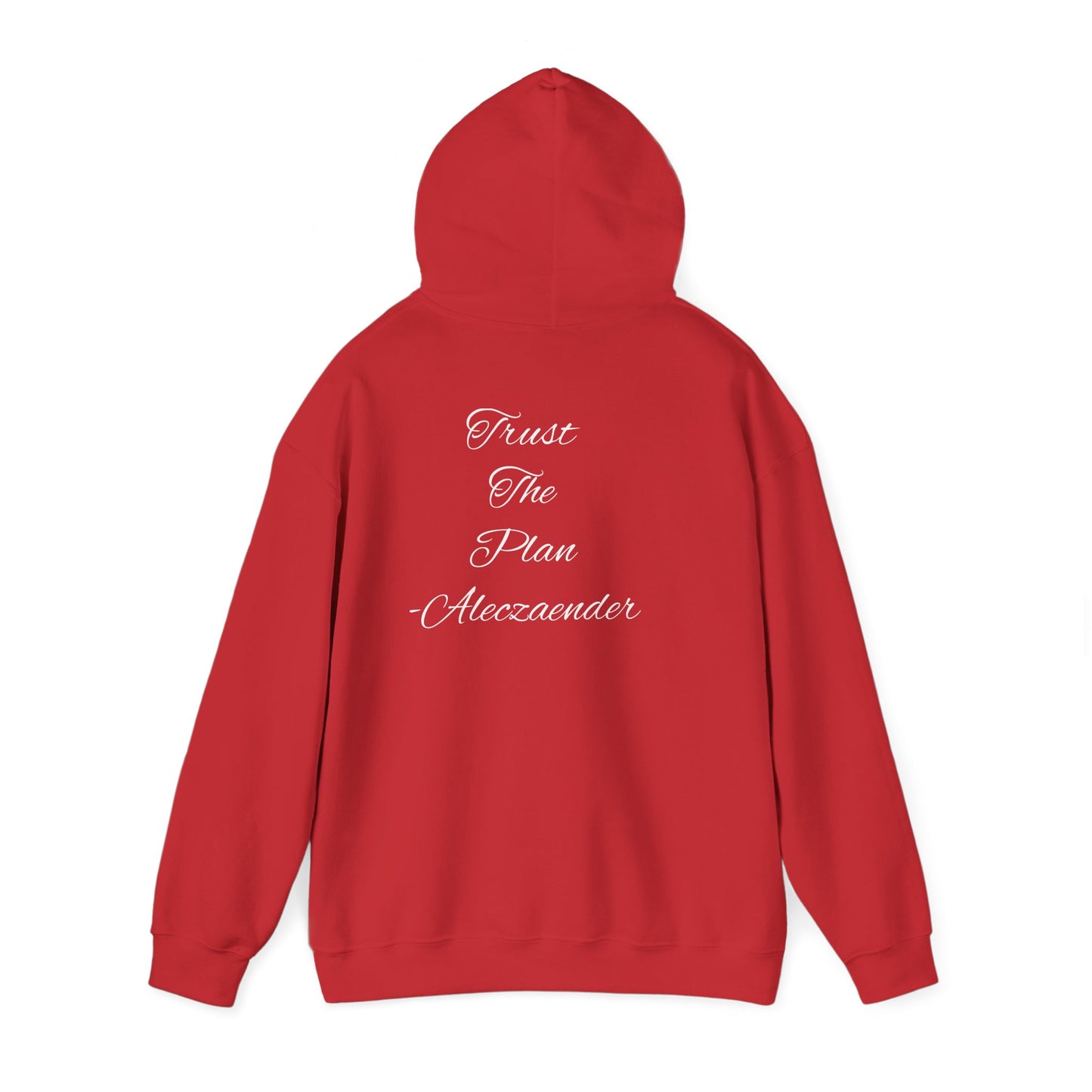 Aleczaender Hoodie
