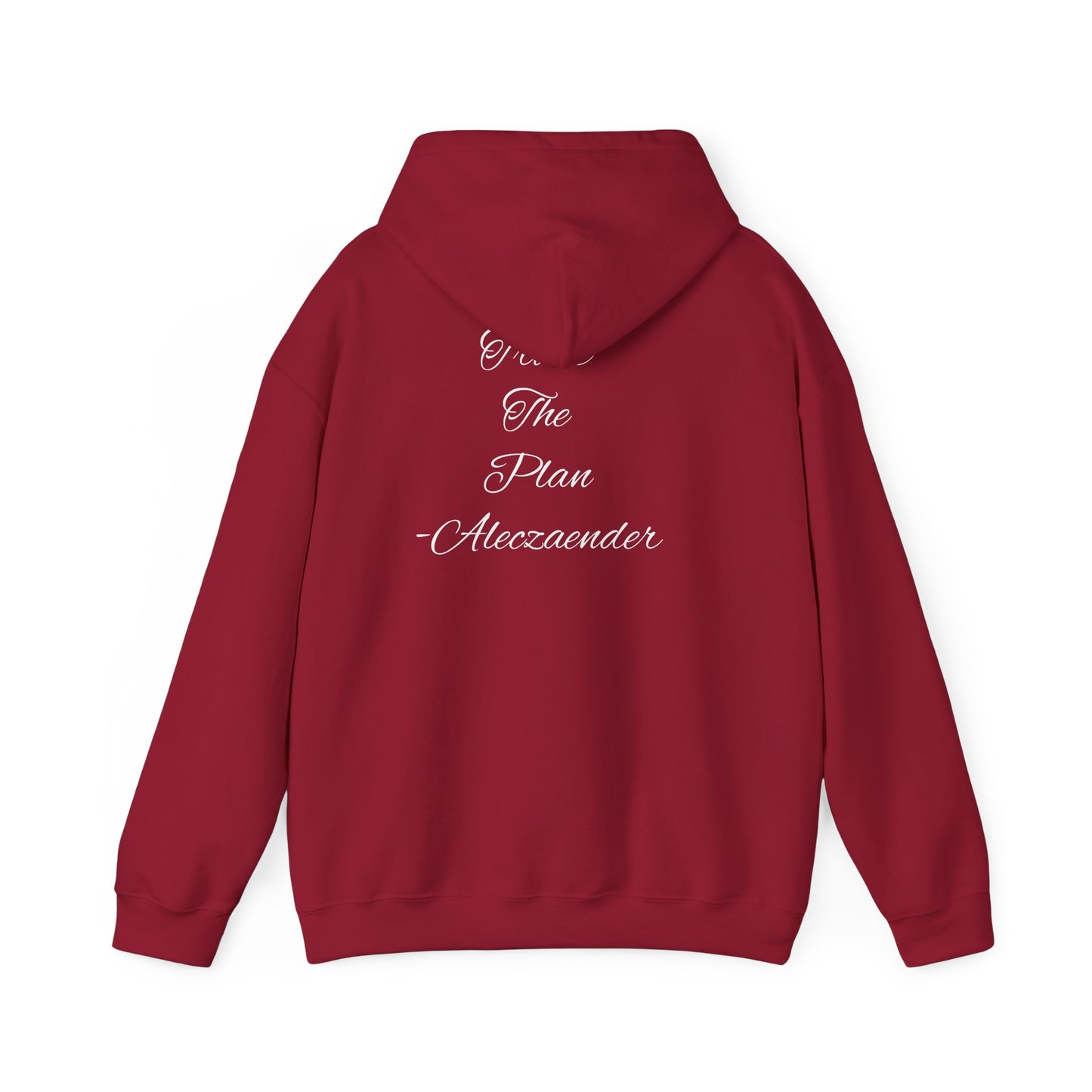 Aleczaender Hoodie